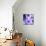 Purple Flowers-null-Mounted Photographic Print displayed on a wall