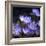 Purple Flowers-null-Framed Photographic Print