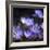 Purple Flowers-null-Framed Photographic Print