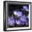 Purple Flowers-null-Framed Photographic Print