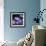 Purple Flowers-null-Framed Photographic Print displayed on a wall