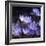 Purple Flowers-null-Framed Photographic Print