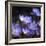 Purple Flowers-null-Framed Photographic Print