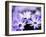 Purple Flowers-null-Framed Photographic Print