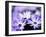 Purple Flowers-null-Framed Photographic Print