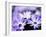 Purple Flowers-null-Framed Photographic Print