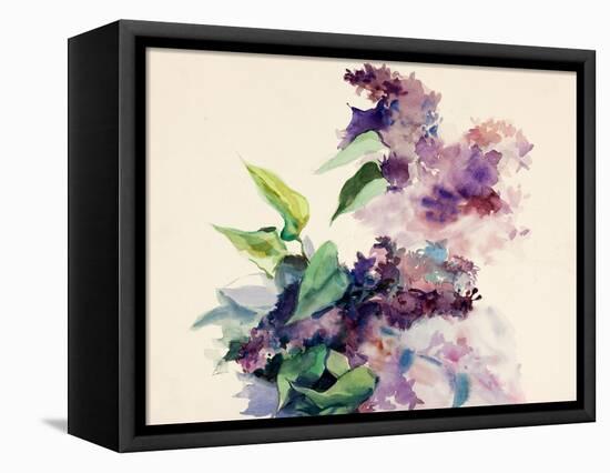 Purple Flowers-Boyan Dimitrov-Framed Stretched Canvas