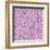 Purple Flowers-Effie Zafiropoulou-Framed Giclee Print