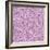 Purple Flowers-Effie Zafiropoulou-Framed Giclee Print