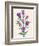 Purple Flowers-Cody Alice Moore-Framed Art Print