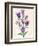 Purple Flowers-Cody Alice Moore-Framed Art Print