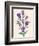 Purple Flowers-Cody Alice Moore-Framed Art Print