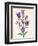 Purple Flowers-Cody Alice Moore-Framed Art Print