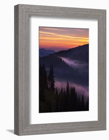 Purple Fog Sunset, Olympic National Park, Washington, USA-Gary Luhm-Framed Photographic Print