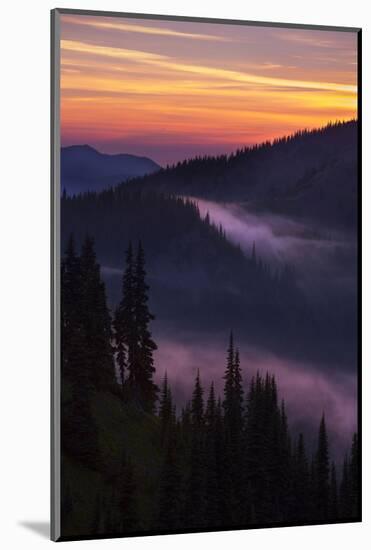 Purple Fog Sunset, Olympic National Park, Washington, USA-Gary Luhm-Mounted Photographic Print