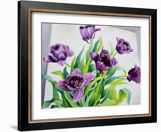 Purple Fringe Tulips-Christopher Ryland-Framed Giclee Print