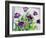 Purple Fringe Tulips-Christopher Ryland-Framed Giclee Print