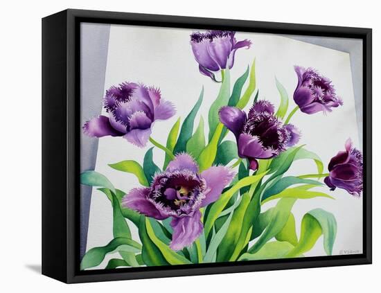 Purple Fringe Tulips-Christopher Ryland-Framed Premier Image Canvas