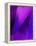Purple Fuschia Blue Wrap-Ruth Palmer-Framed Stretched Canvas