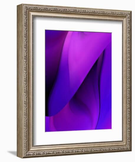 Purple Fuschia Blue Wrap-Ruth Palmer-Framed Art Print