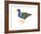 Purple Gallinule (Porphyrula Martinica), Birds-Encyclopaedia Britannica-Framed Art Print