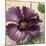 Purple Garden I-Pamela Gladding-Mounted Art Print