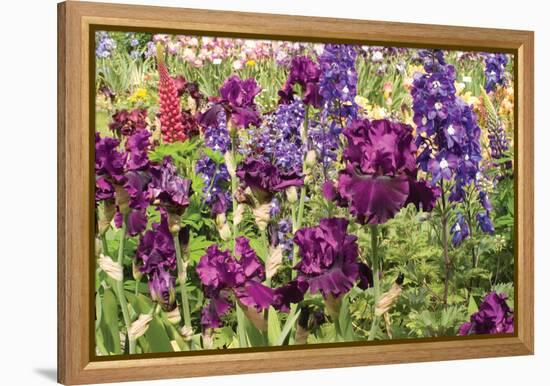 Purple Garden II-Maureen Love-Framed Premier Image Canvas