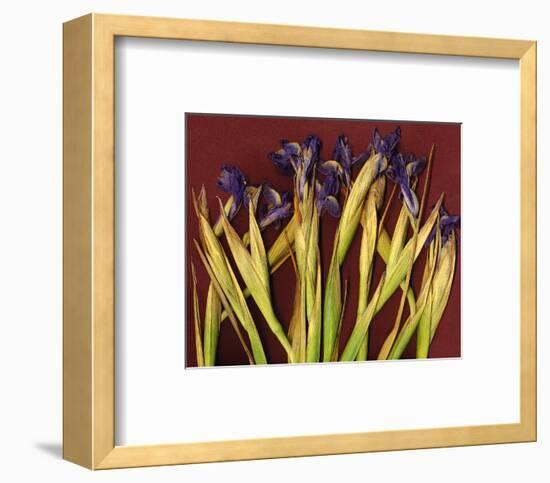 Purple Garden Irises-null-Framed Art Print