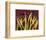 Purple Garden Irises-null-Framed Art Print