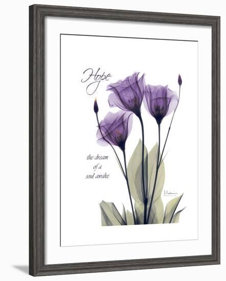 Purple Gentian Hope-Albert Koetsier-Framed Premium Giclee Print