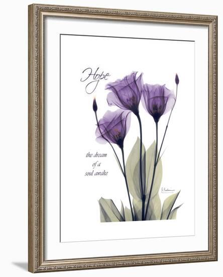 Purple Gentian Hope-Albert Koetsier-Framed Premium Giclee Print