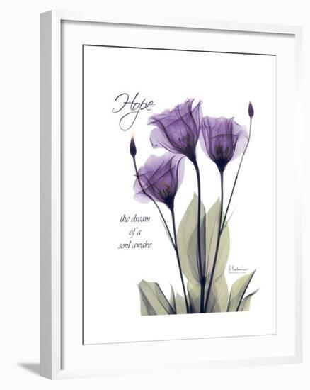 Purple Gentian Hope-Albert Koetsier-Framed Premium Giclee Print