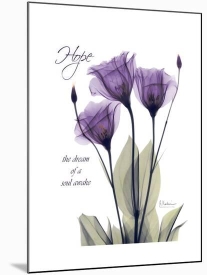 Purple Gentian Hope-Albert Koetsier-Mounted Premium Giclee Print