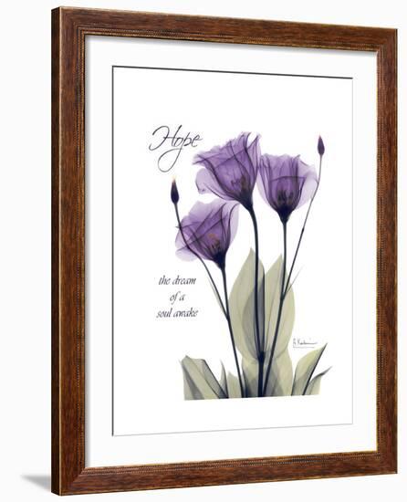 Purple Gentian Hope-Albert Koetsier-Framed Premium Giclee Print