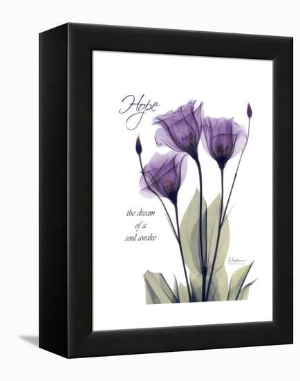 Purple Gentian Hope-Albert Koetsier-Framed Stretched Canvas