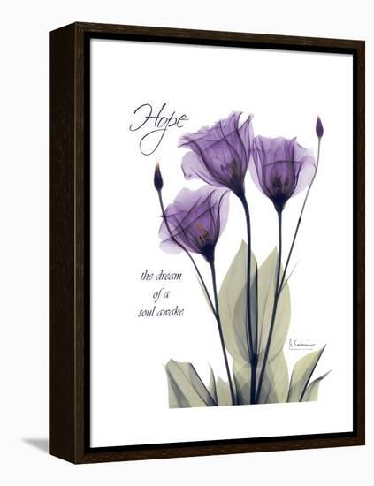 Purple Gentian Hope-Albert Koetsier-Framed Stretched Canvas