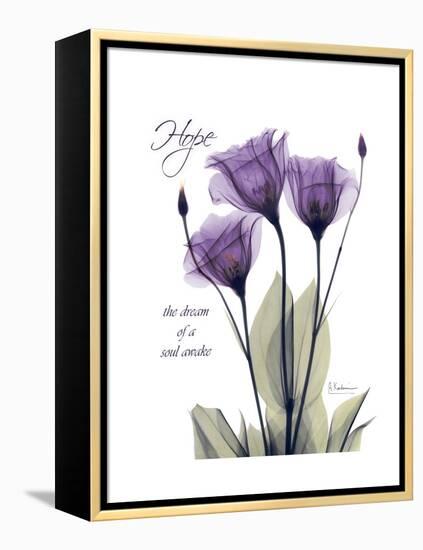 Purple Gentian Hope-Albert Koetsier-Framed Stretched Canvas