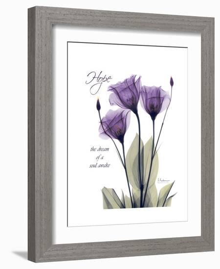 Purple Gentian Hope-Albert Koetsier-Framed Premium Giclee Print