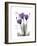 Purple Gentian Hope-Albert Koetsier-Framed Premium Giclee Print