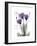 Purple Gentian Hope-Albert Koetsier-Framed Premium Giclee Print