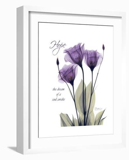 Purple Gentian Hope-Albert Koetsier-Framed Premium Giclee Print