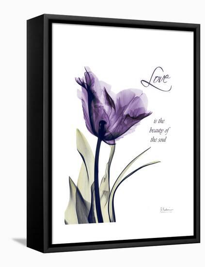 Purple Gentian Love-Albert Koetsier-Framed Stretched Canvas