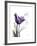 Purple Gentian Love-Albert Koetsier-Framed Premium Giclee Print