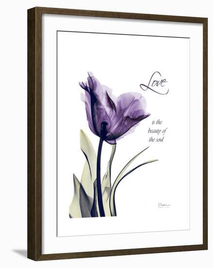 Purple Gentian Love-Albert Koetsier-Framed Premium Giclee Print