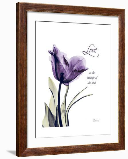 Purple Gentian Love-Albert Koetsier-Framed Premium Giclee Print