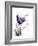 Purple Gentian Love-Albert Koetsier-Framed Premium Giclee Print