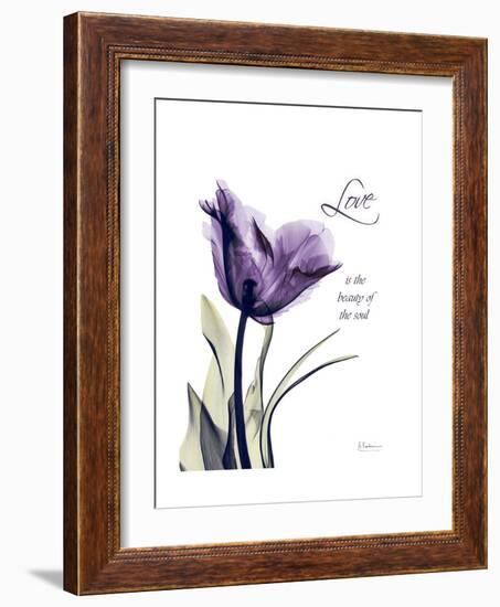 Purple Gentian Love-Albert Koetsier-Framed Premium Giclee Print