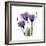 Purple Gentian Portrait-Albert Koetsier-Framed Art Print