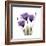 Purple Gentian Portrait-Albert Koetsier-Framed Art Print