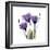 Purple Gentian Portrait-Albert Koetsier-Framed Art Print